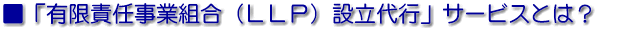 LӔCƑgݗsT[rX񋟂Ă܂B